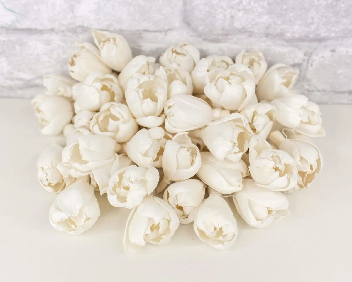 1.5" Precious Tulip - 50 Pack