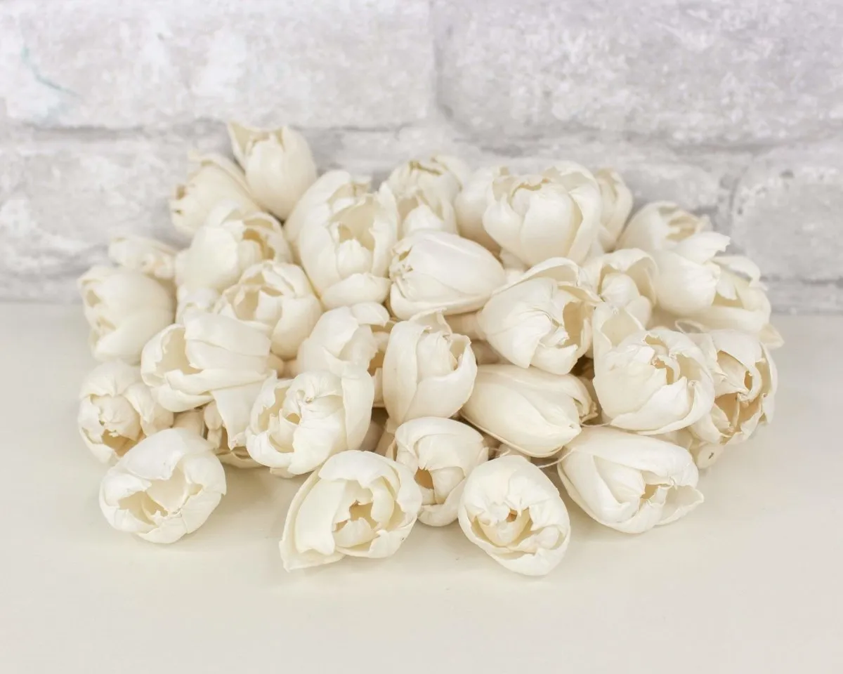 1.5" Precious Tulip - 50 Pack