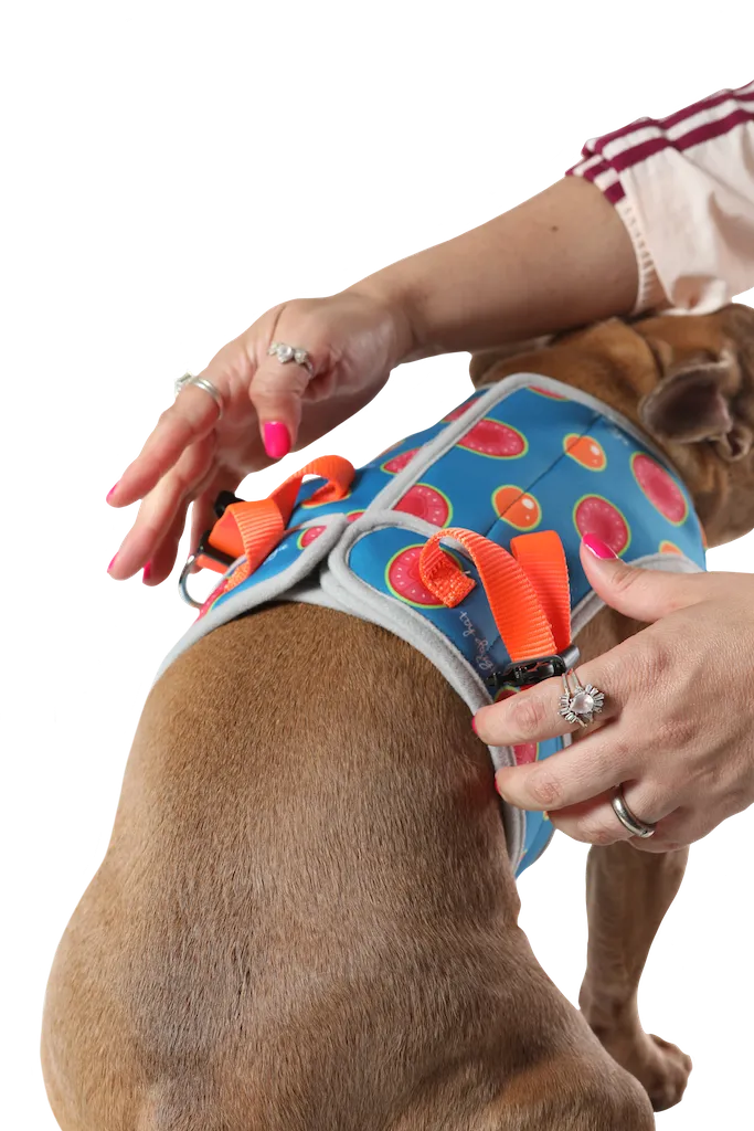 3 in 1 Cooling & Anti-Anxiety Dog Harness | Guava & Quenepas