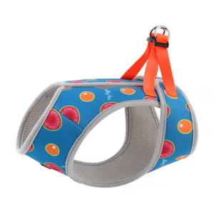 3 in 1 Cooling & Anti-Anxiety Dog Harness | Guava & Quenepas