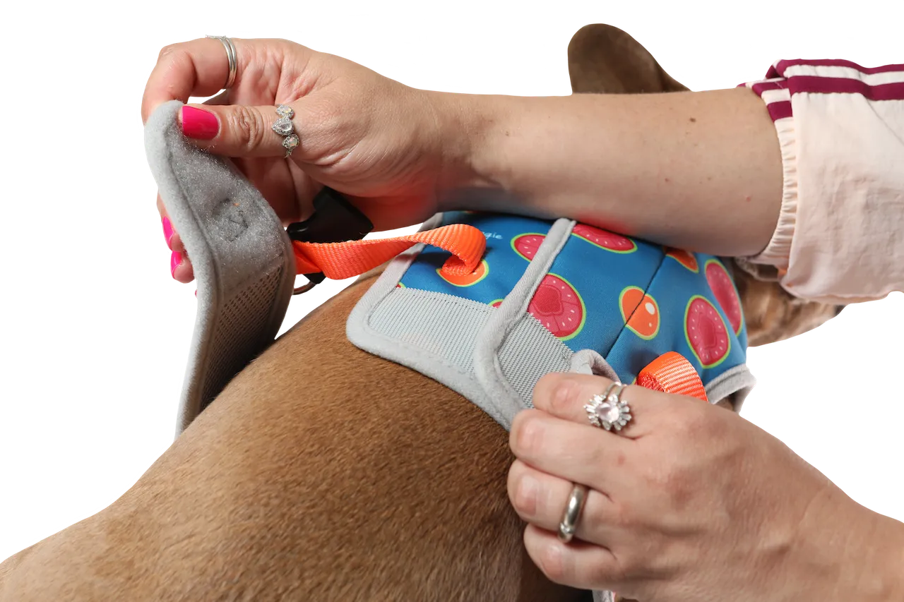 3 in 1 Cooling & Anti-Anxiety Dog Harness | Guava & Quenepas