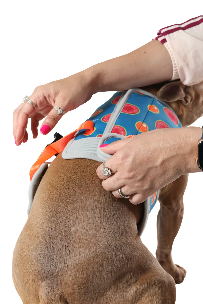 3 in 1 Cooling & Anti-Anxiety Dog Harness | Guava & Quenepas