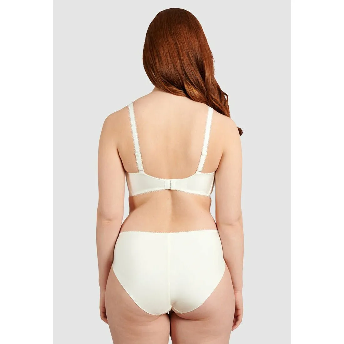 Ariane Classic Lace & Microfiber Brief-Ivory