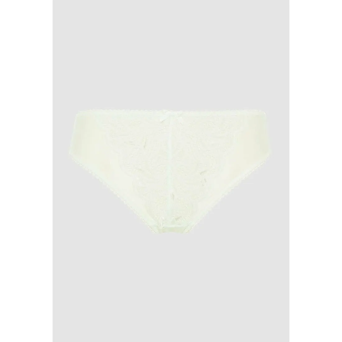 Ariane Classic Lace & Microfiber Brief-Ivory