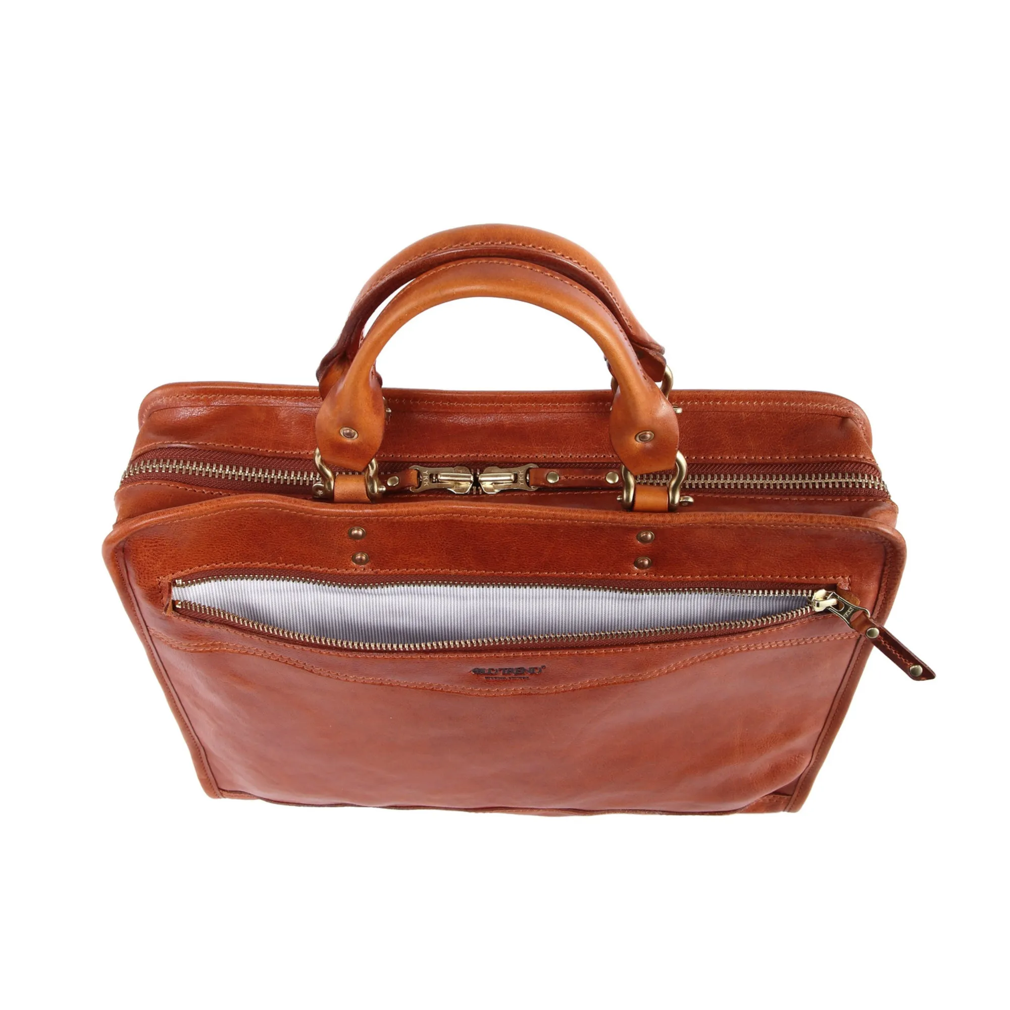 Ficus Briefcase