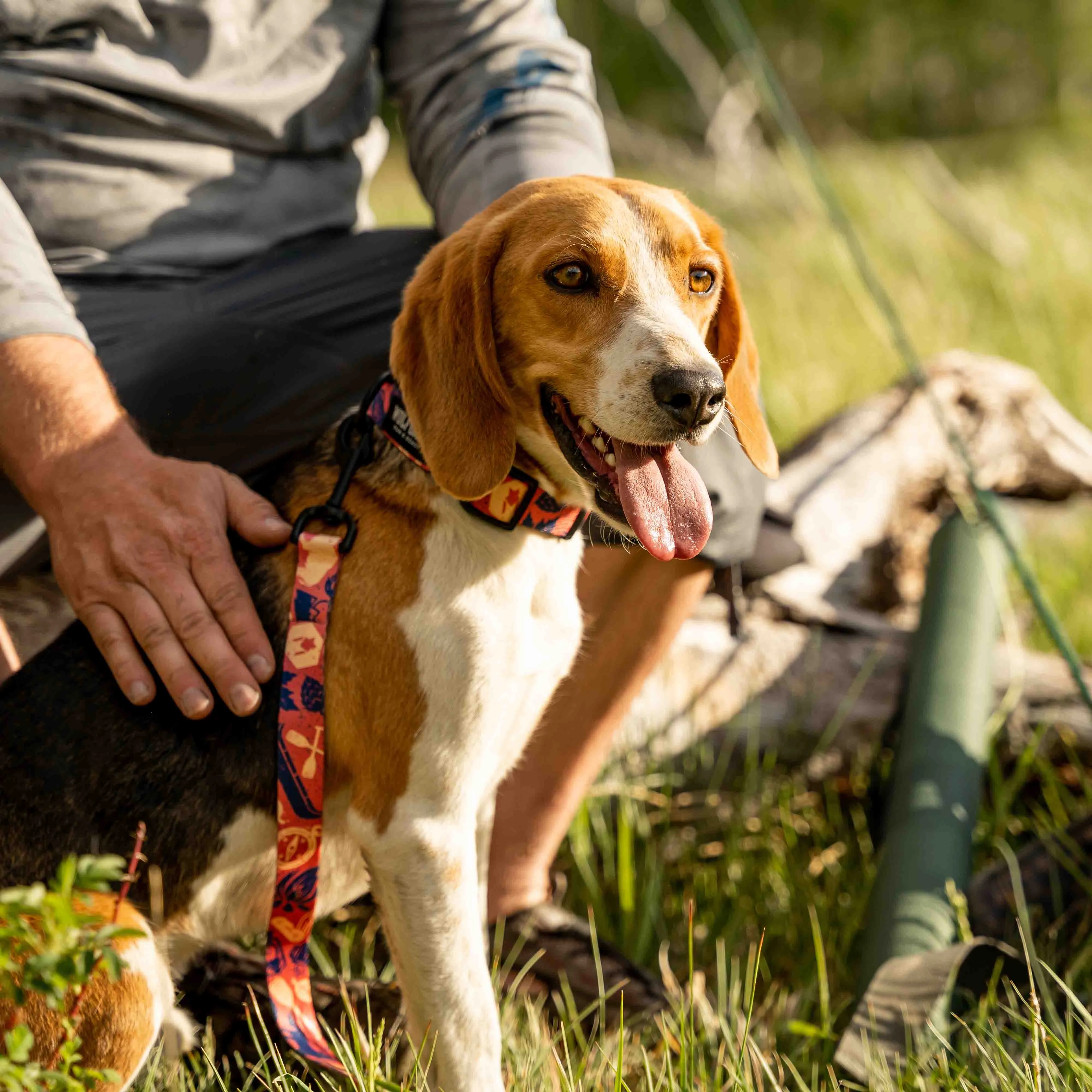 GreatOutdoors DOG LEASH