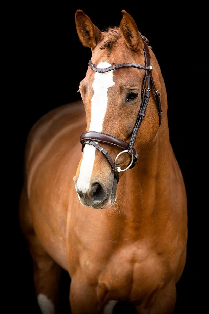 Normandie Bridle Organic Tanned - Brown