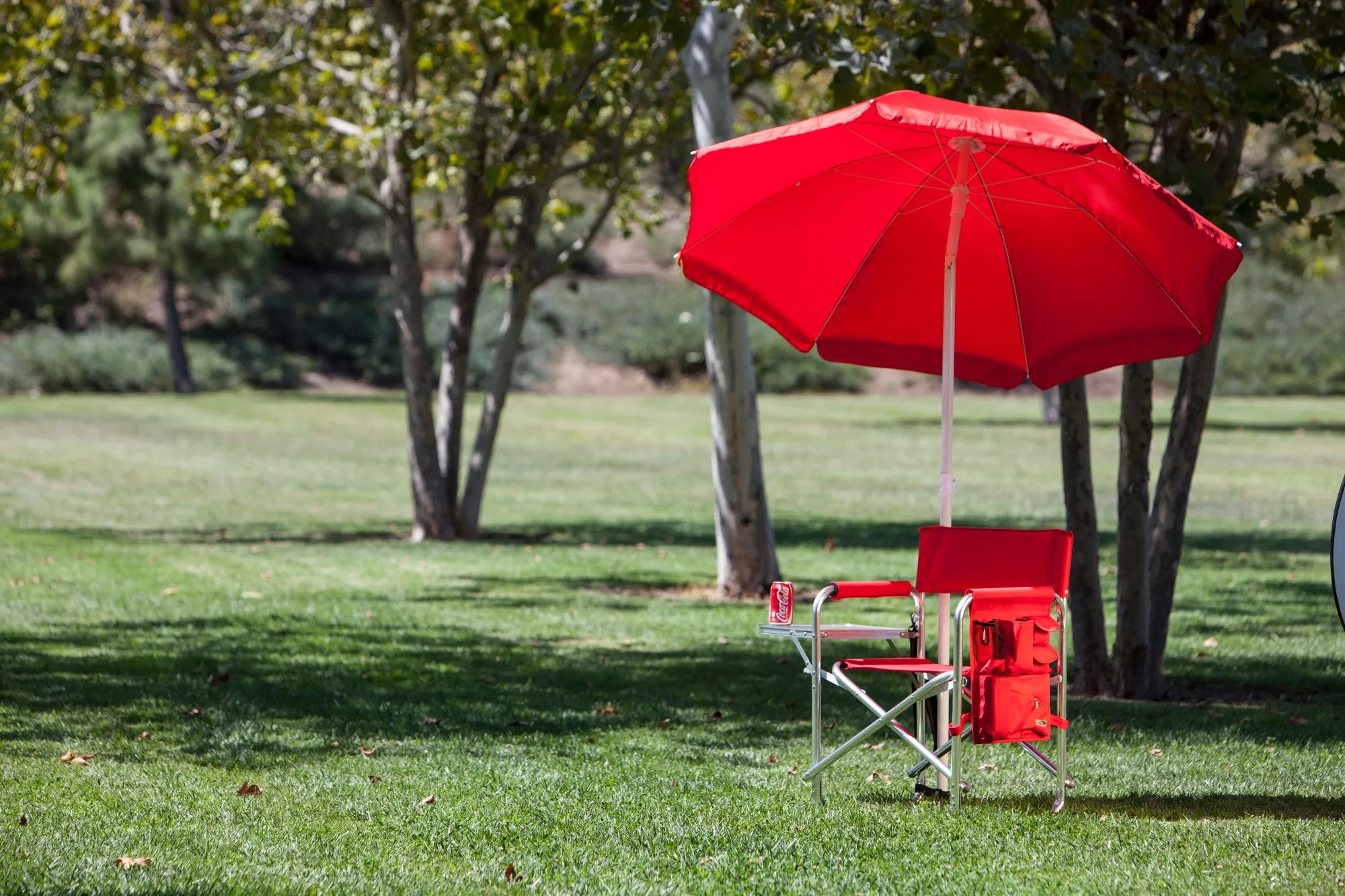 Texas Tech Red Raiders - Sports Chair