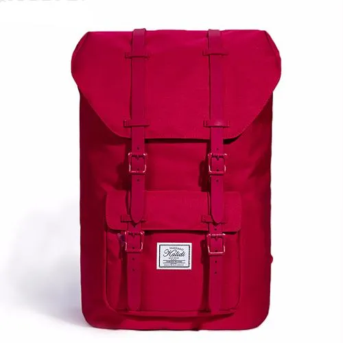 Travel Laptop Backpack